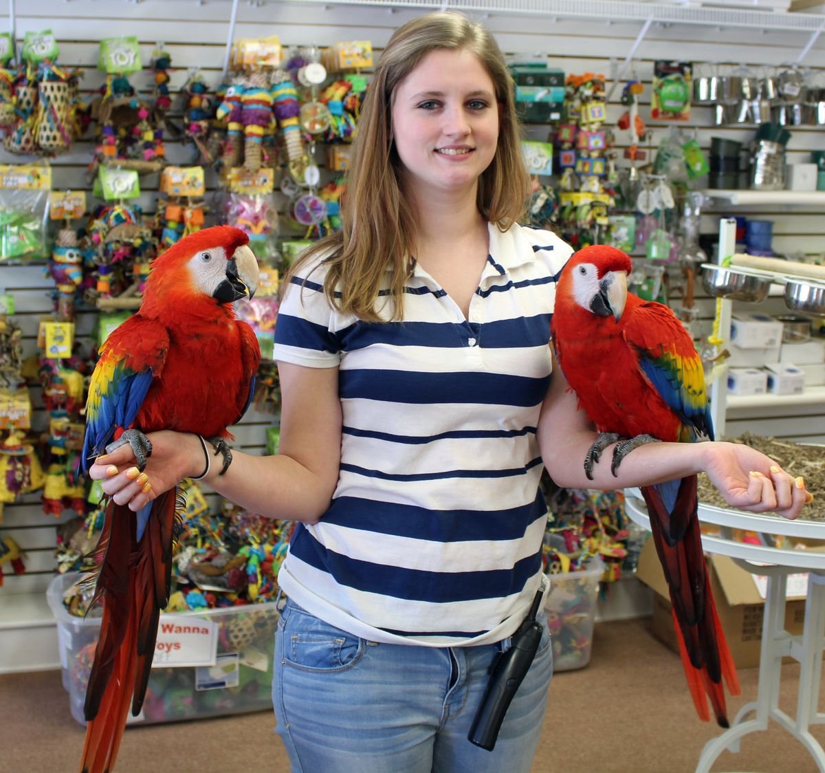 Parrot conservation and education